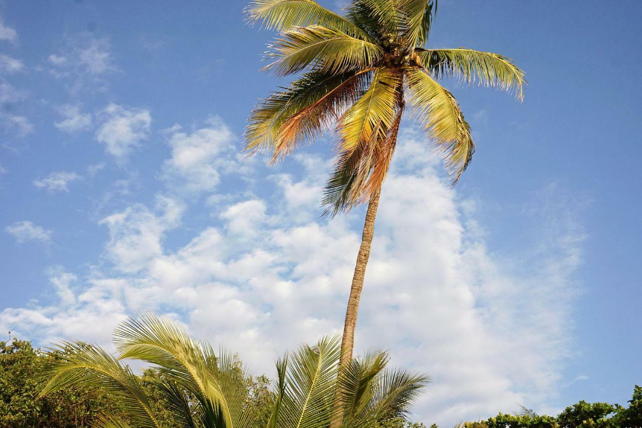 Villa Picasso Playa Santa Teresa  外观 照片